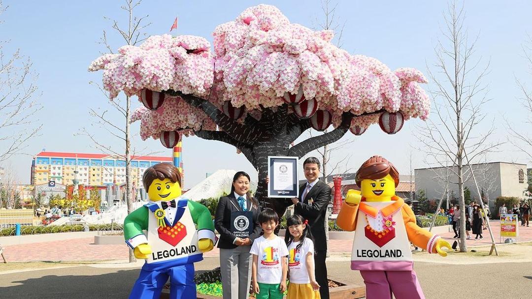 Pecahkan Rekor, Legoland di Jepang Jadi Pohon Sakura Lego Terbesar