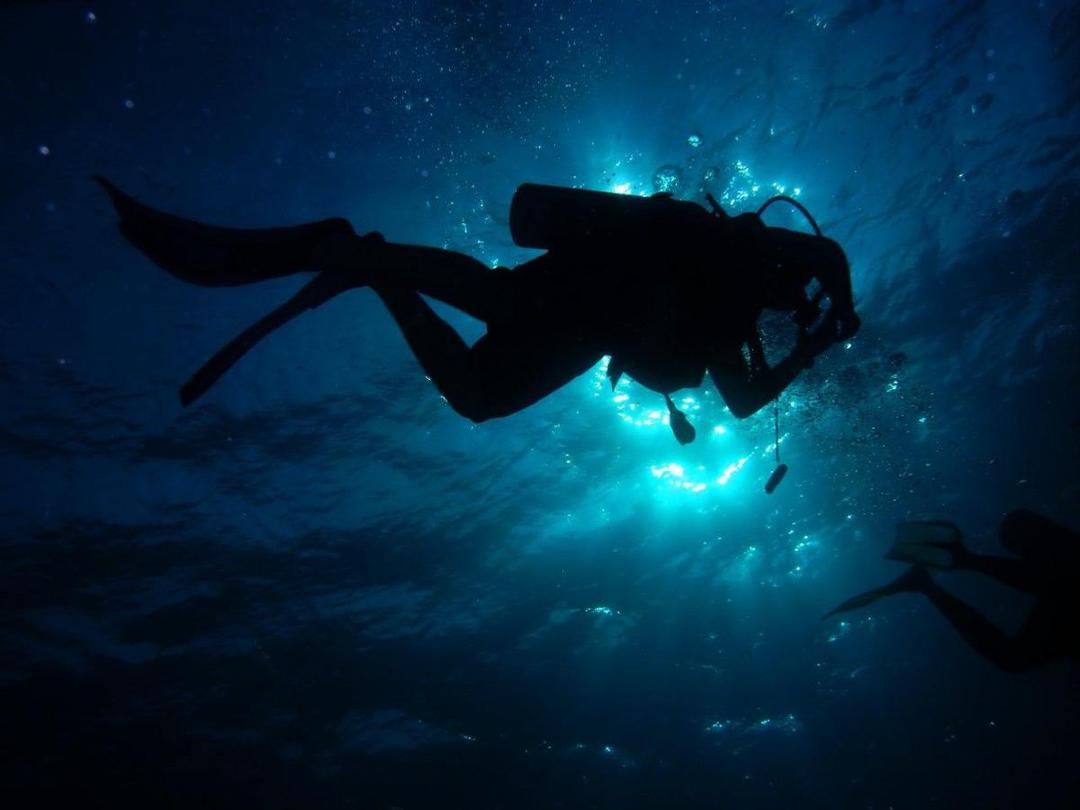 Mariana Trench, Palung Terdalam di Dunia yang Jarang Terjamah Manusia