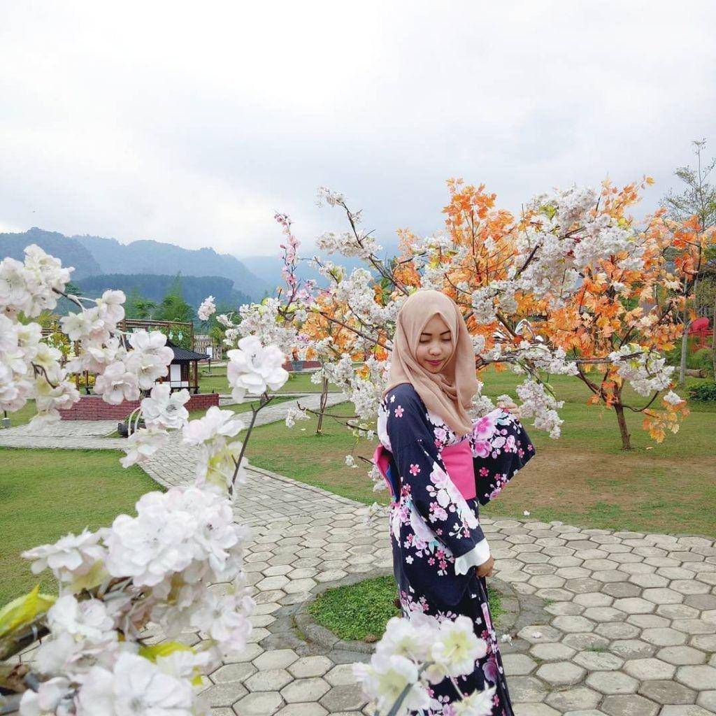 instagram.com/widi_wiwi