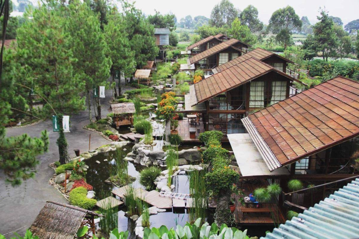 urbandung.com