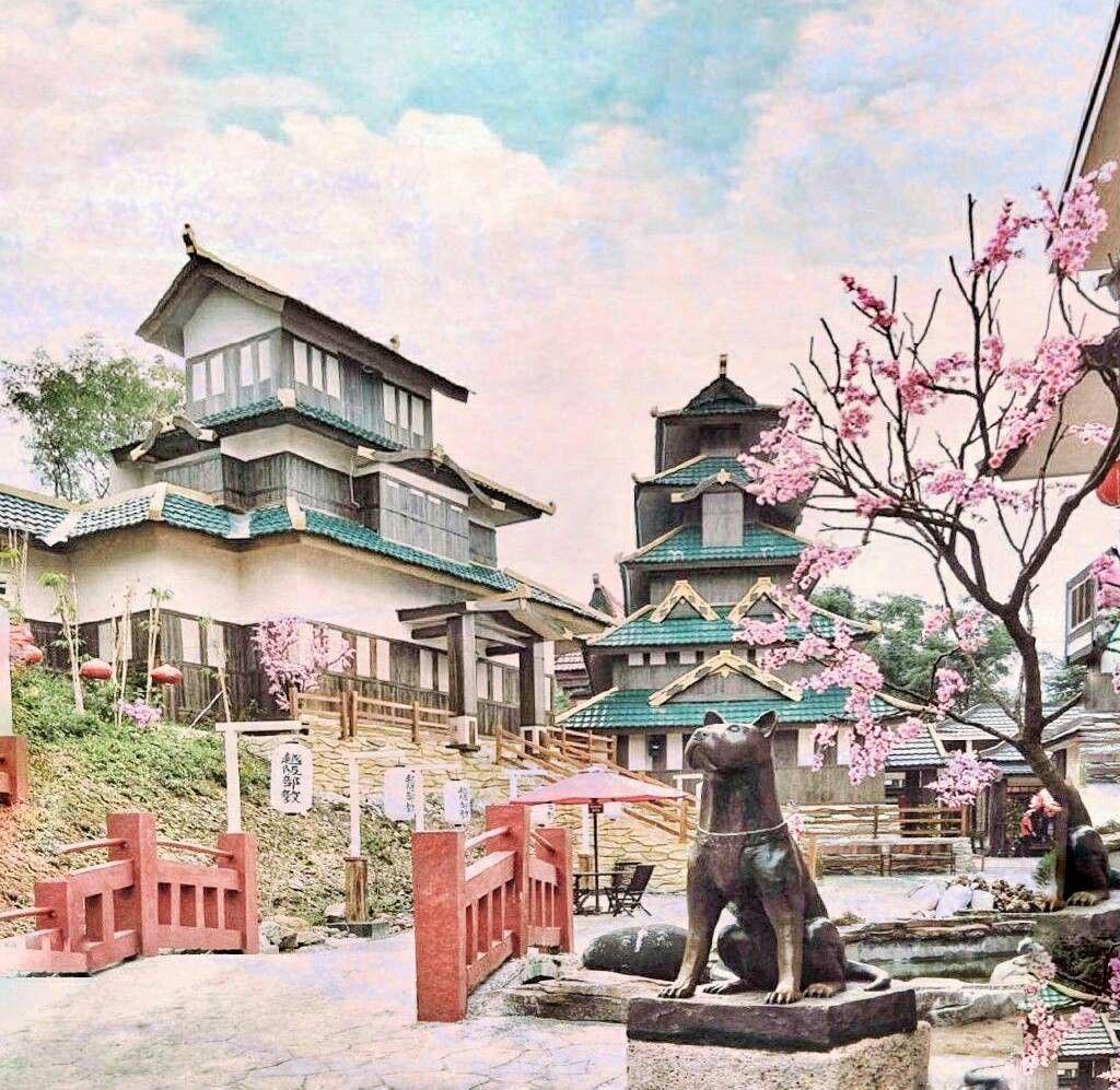 Bukan Jepang, 9 Tempat Wisata ala Negeri Sakura Ini Indonesia Punya, Lho!