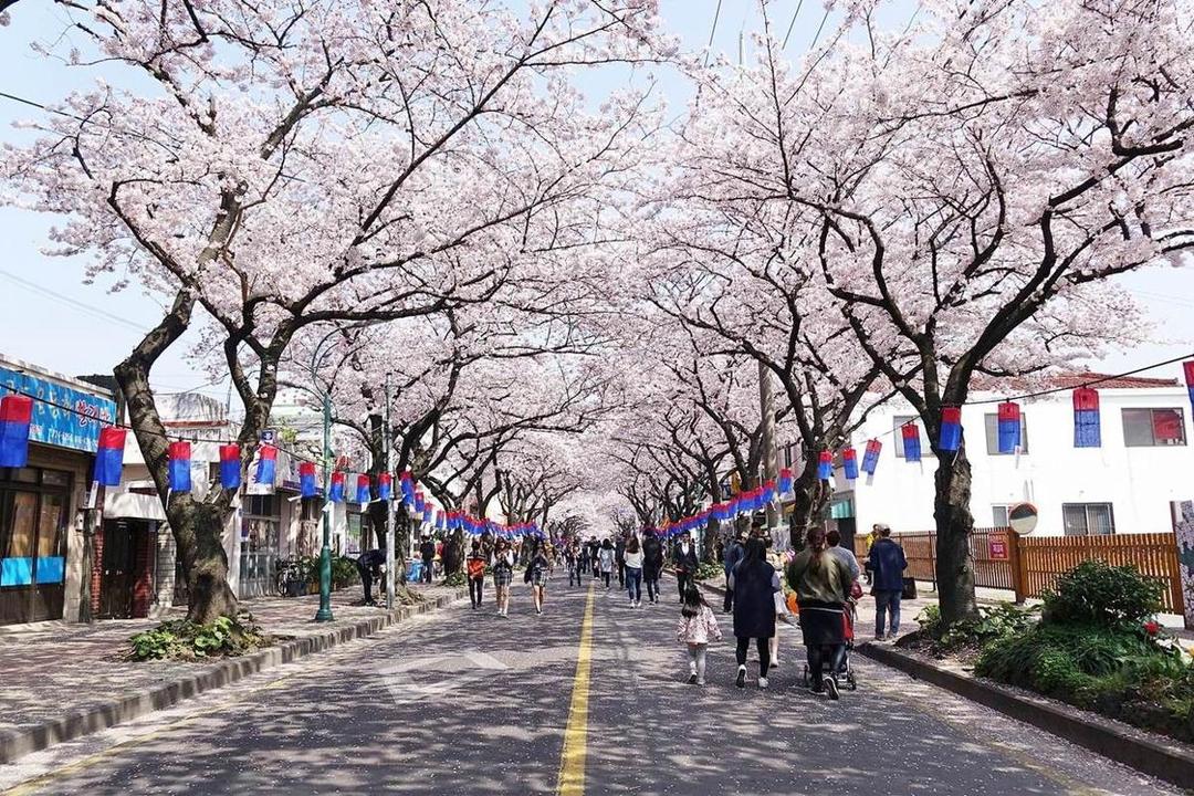 visitjeju.net