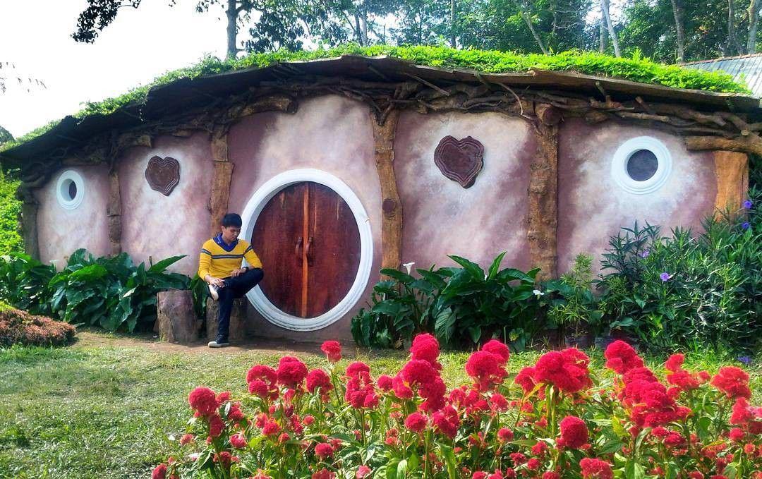 thewisata.com