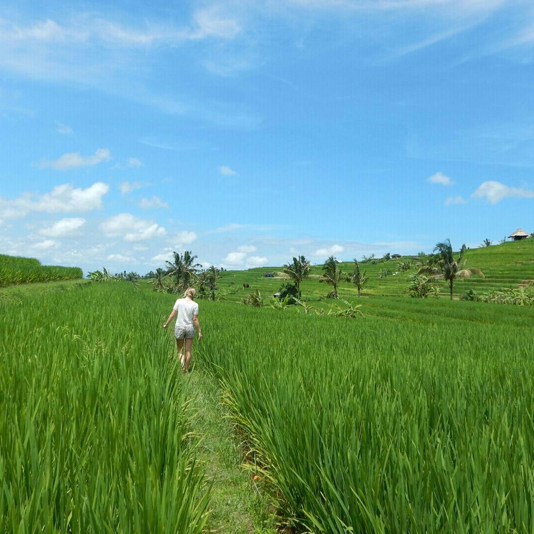 Instagram.com/livelifelin