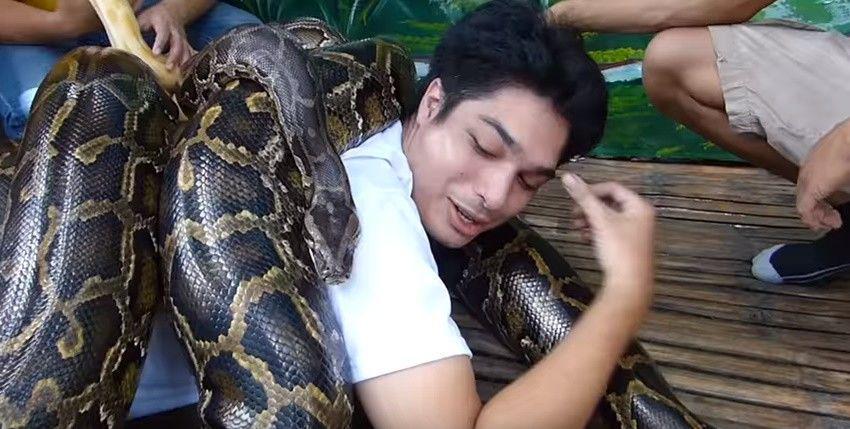 Ngeri, Ini Sensasi Pijat Ekstrem Pakai Ular Piton di Filipina