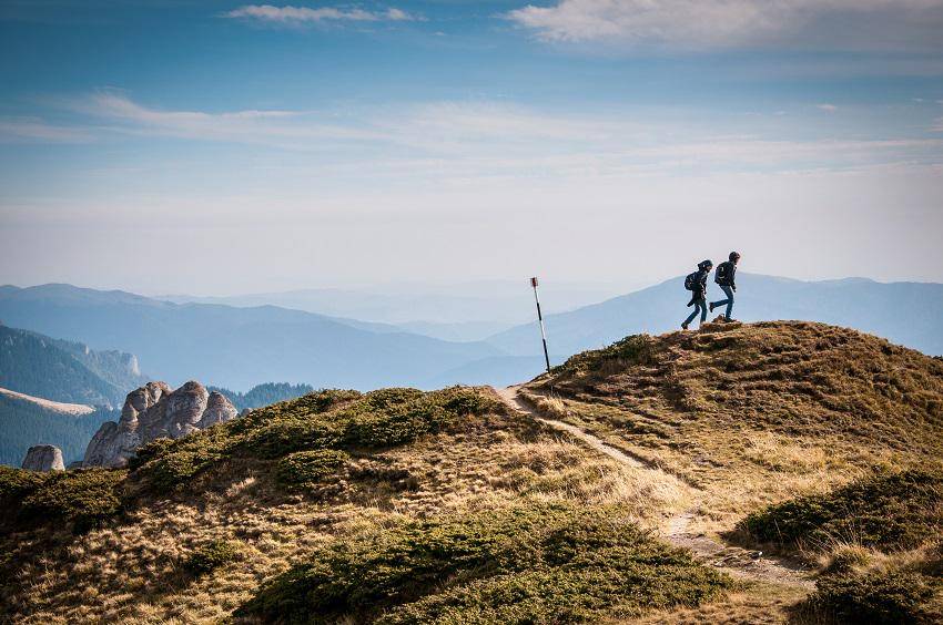 Photo by David Marcu on Unsplash