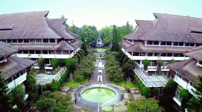 infokampus.news