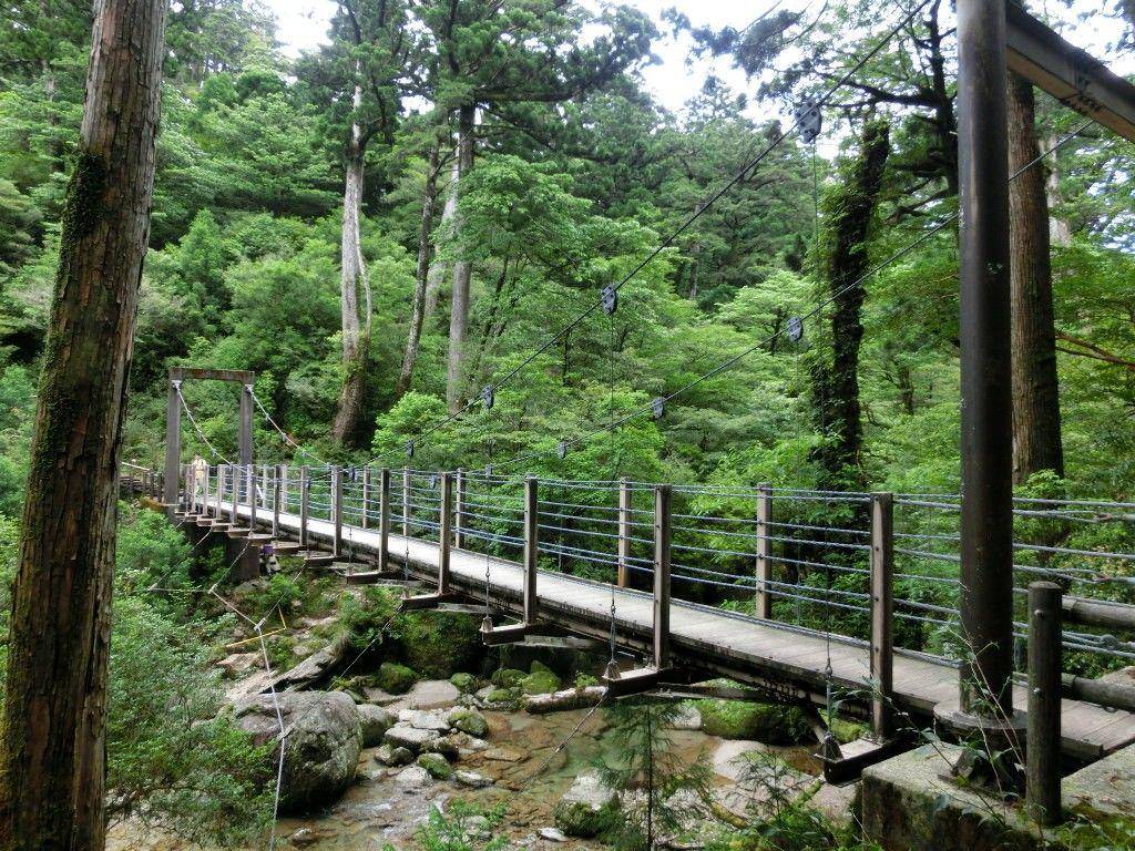 yesyakushima.com