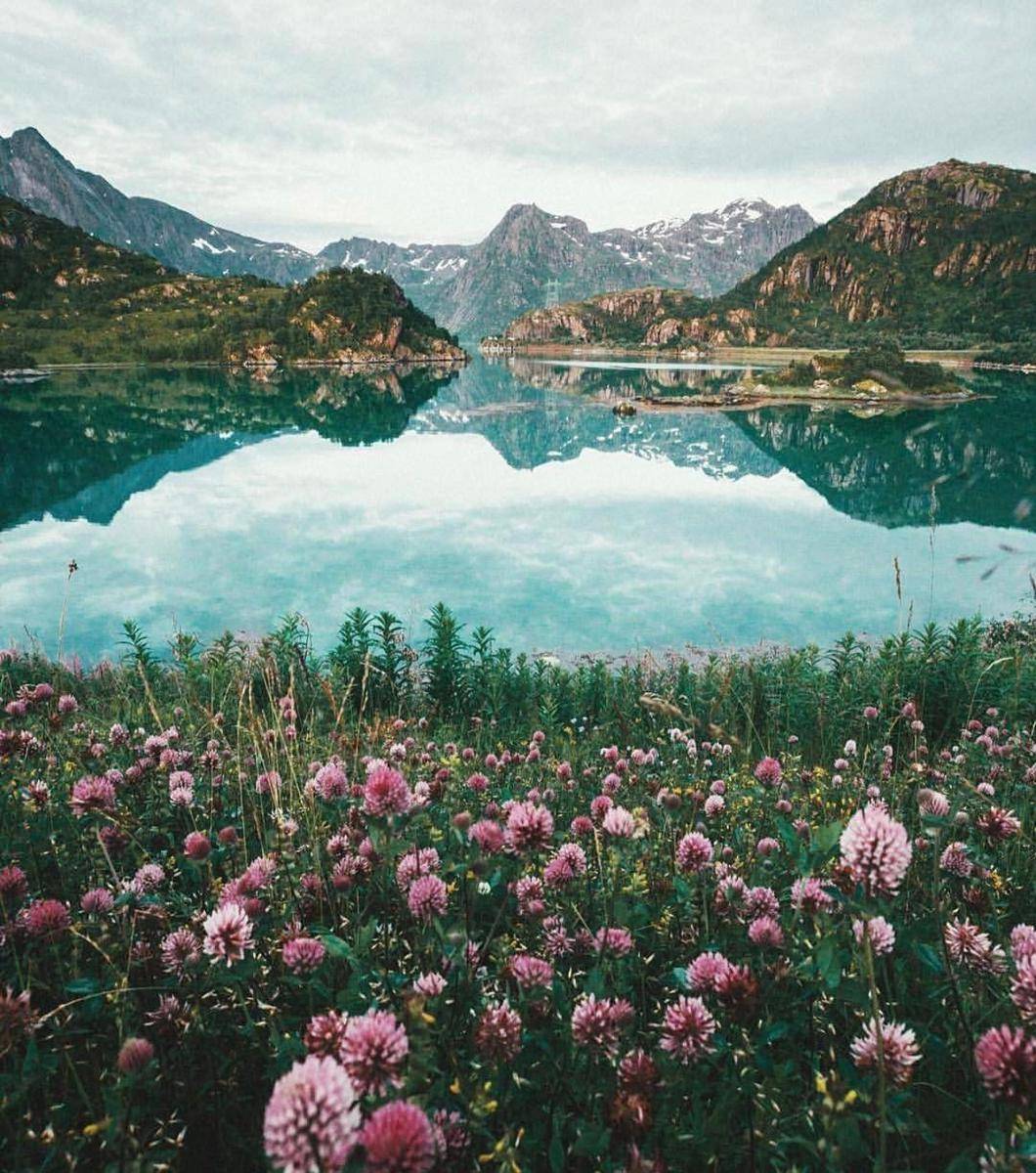 instagram.com/lofoten