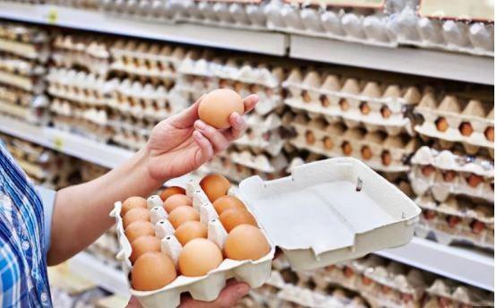 Terjangkit Salmonella, Lebih dari 206 Juta Telur Ditarik di Pasaran