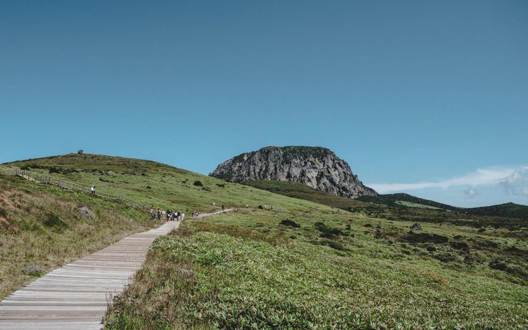 dailyjeju.co.kr