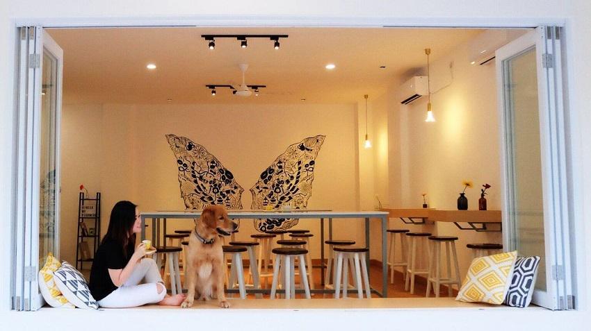 Ada di Jakarta Nih, 7 Kafe Kece Ini Mengizinkanmu Bawa Hewan Peliharaan!