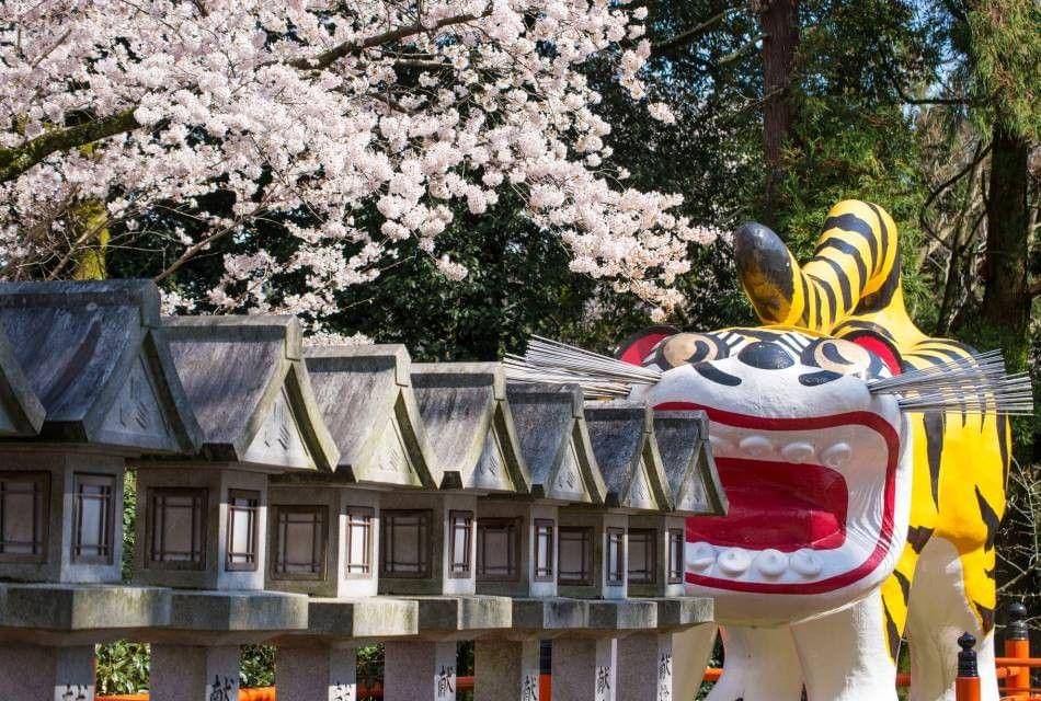 Visitnara.com
