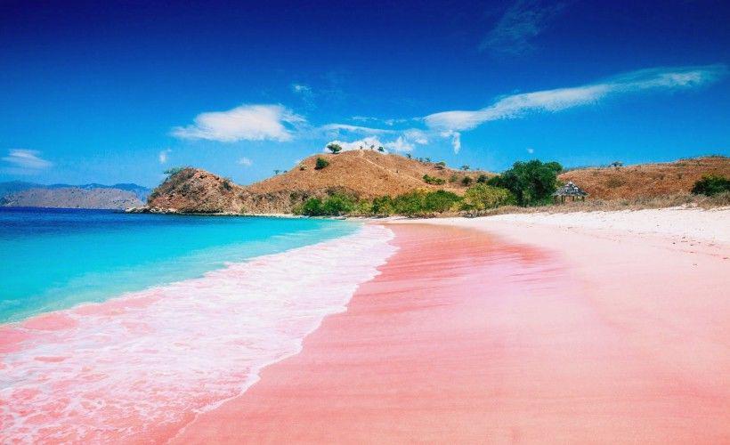 Harus Dikunjungi Sekali Seumur Hidup, Ini 5 Pantai Pink Tercantik di Dunia