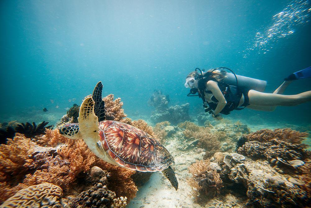 7 Wisata Bahari yang Gak Kalah Keren dari Raja Ampat, Memesona Banget