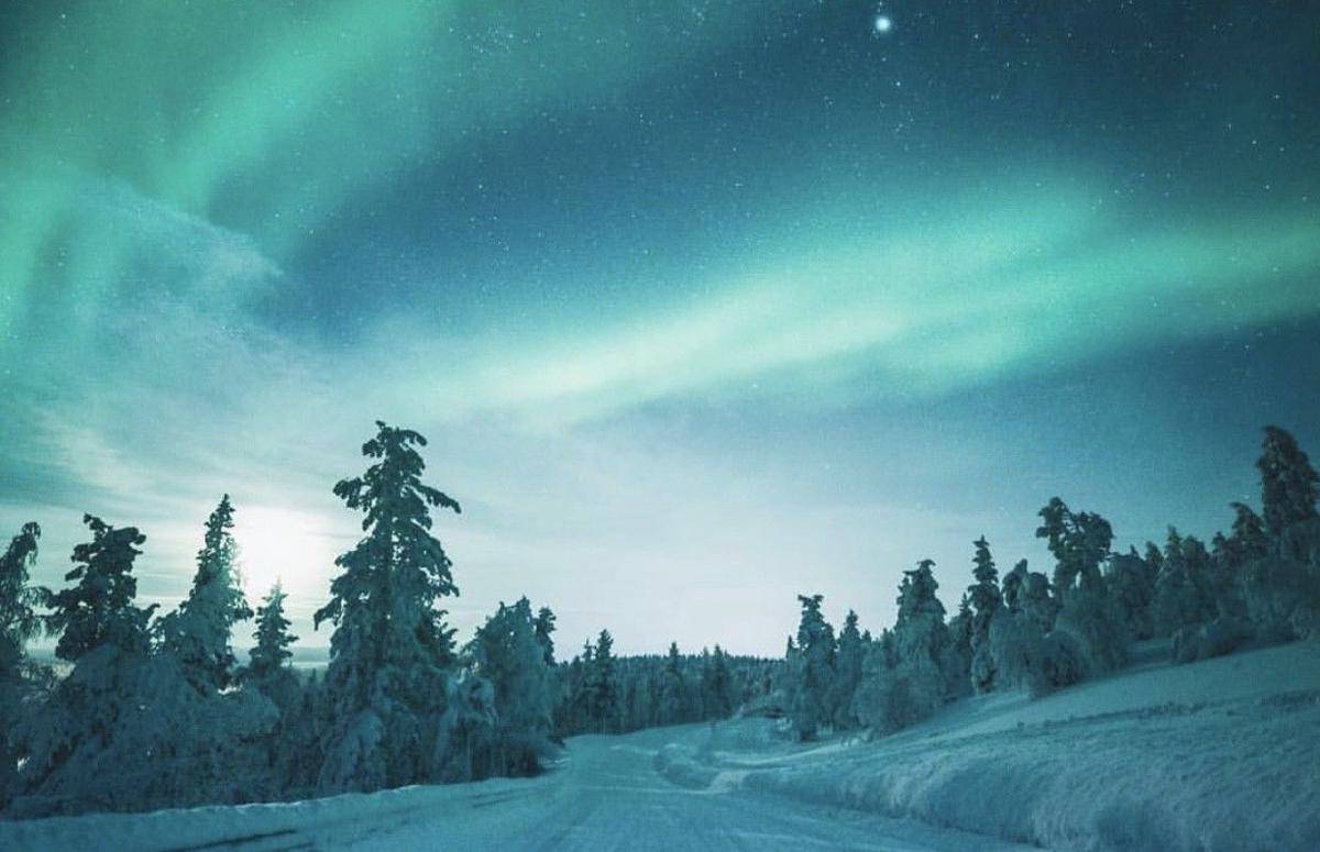 Instagram.com/levilapland