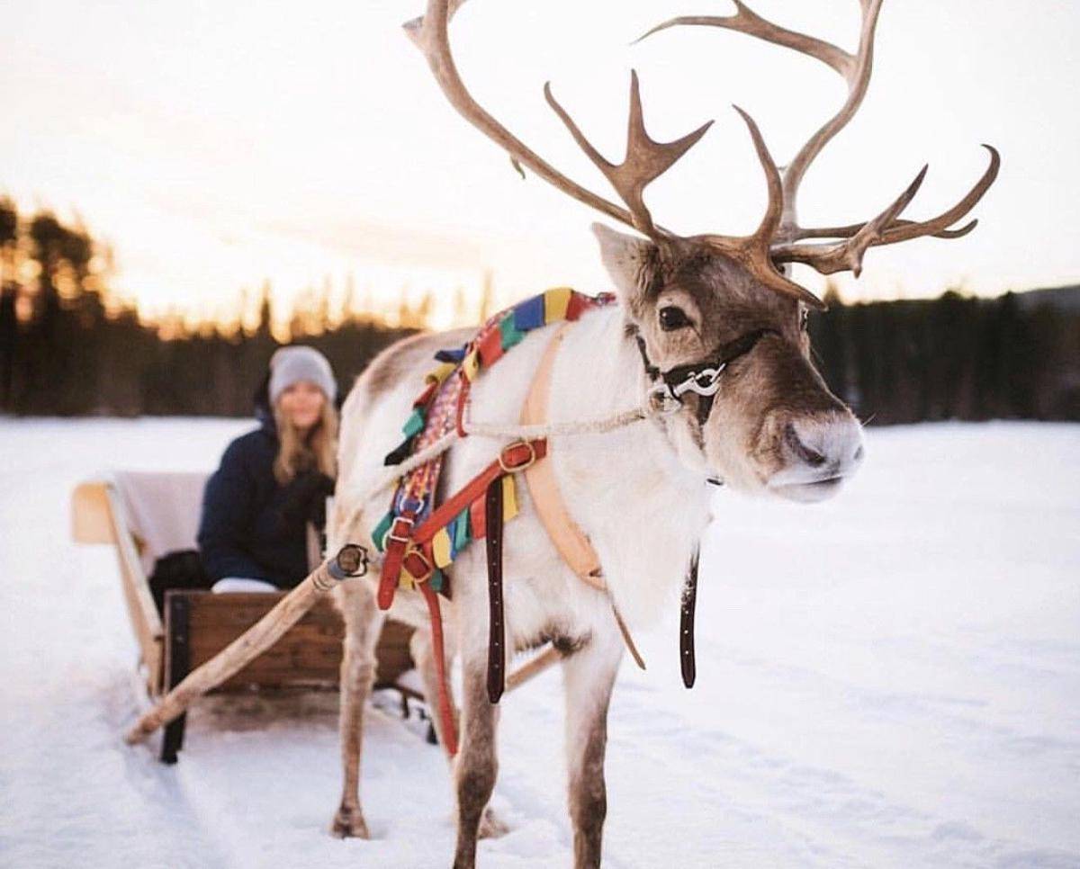 Instagram.com/Finland