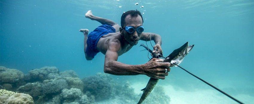 Rahasia Kemampuan Menyelam Suku Bajo, Tahan Hingga 13 Menit
