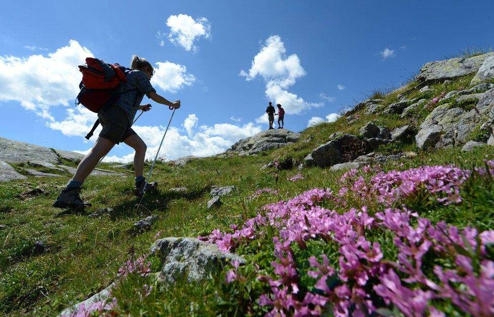 visitfiemme.it