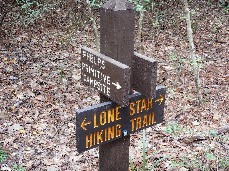 tripstodiscover.com