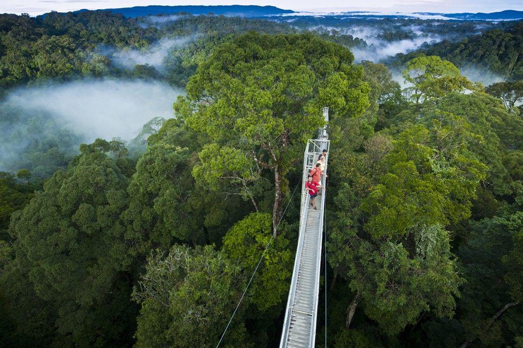 Bisa Berjalan di Kanopi Pepohonan, 7 Destinasi Brunei Ini Sayang Dilewatkan