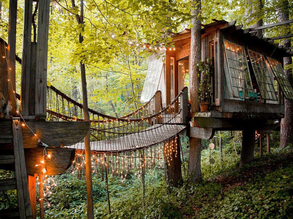 Ingin Rasakan Tinggal di Rumah Pohon? 8 Tempat Ini Bisa Jadi Pilihan!