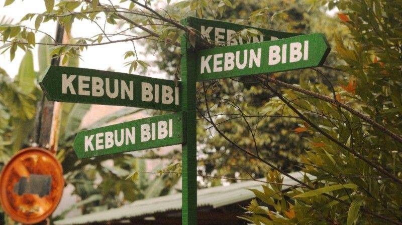 Kebun Bibi - artbookscoffee