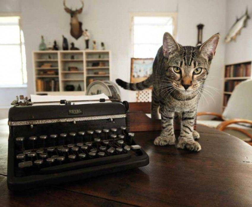 Hemingwayhome.com