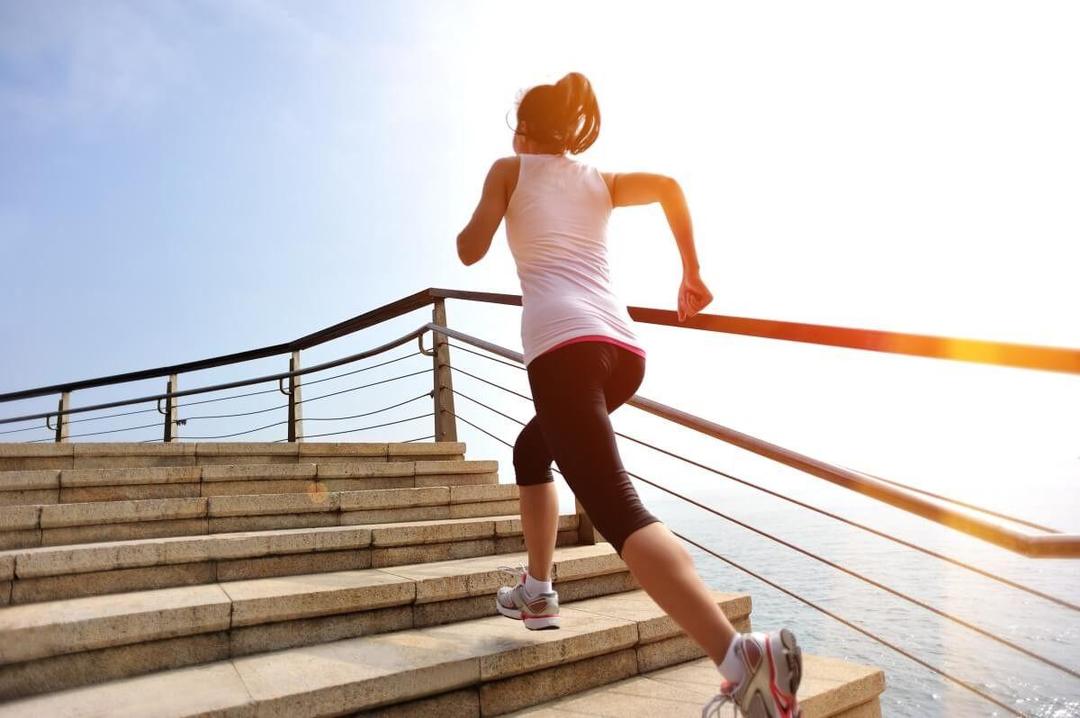 Fitnessbin.com