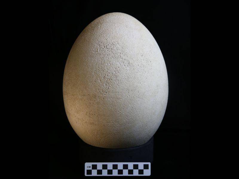 smithsonianmag.com