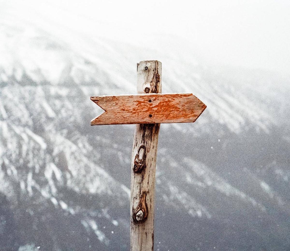 pexels.com/Pixabay