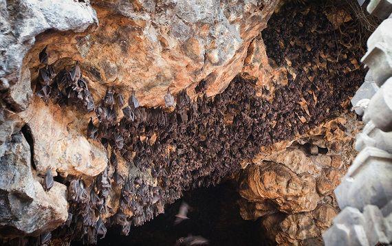 13 Tempat Misterius yang Bisa Kamu Temui di Bali, Keren Banget Sih!