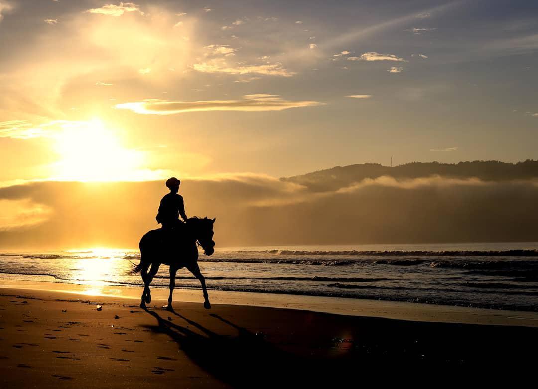 7 Pantai Paling Indah di Pacitan, Favorit Wisatawan Banget!