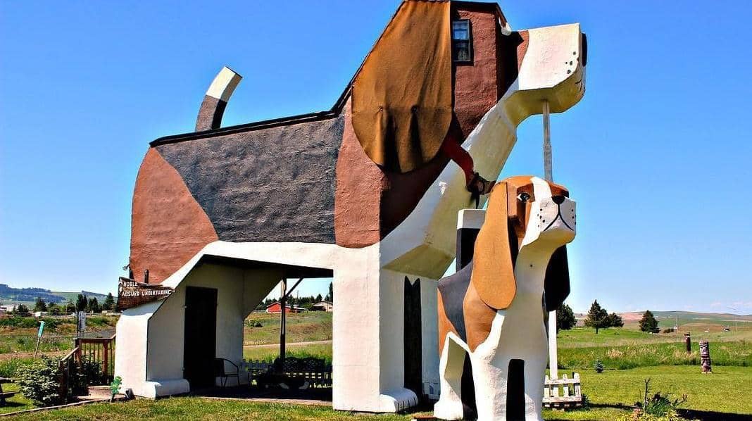 8 Penginapan Air Bnb Berdesain Terunik, Ada yang Bertarif Rp 10 juta!