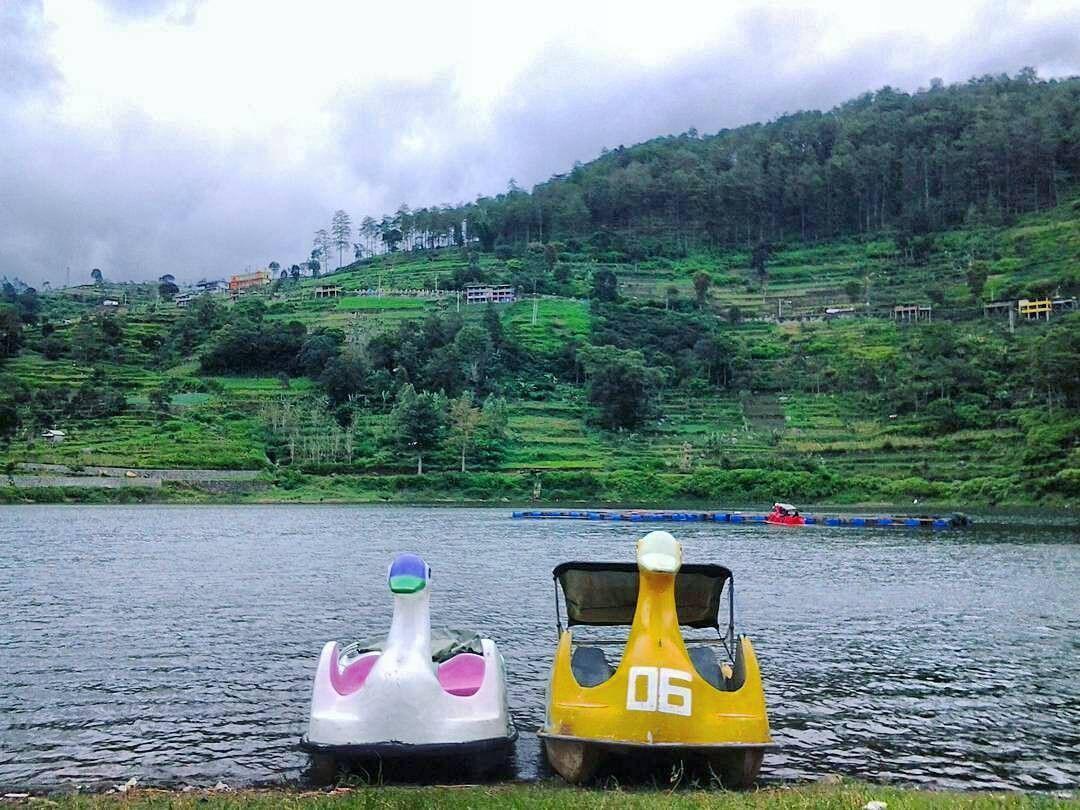 Instagram.com/alamagetan