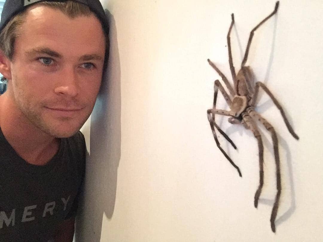 Instagram.com/chrishemsworth