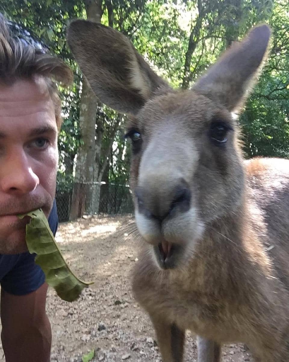 Instagram.com/chrishemsworth