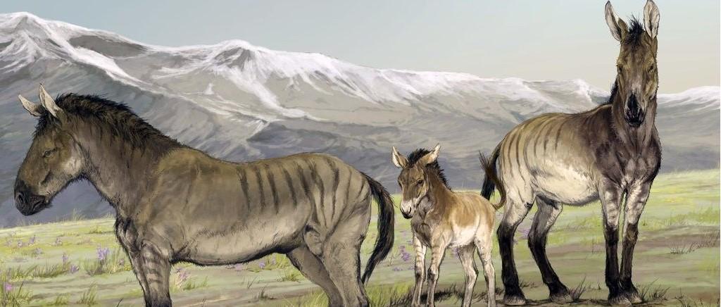 Kerangka Kuda Zaman Es Ditemukan di Utah