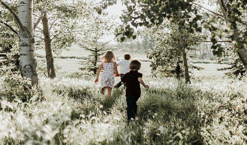 Unsplash/Priscilla Du Preez