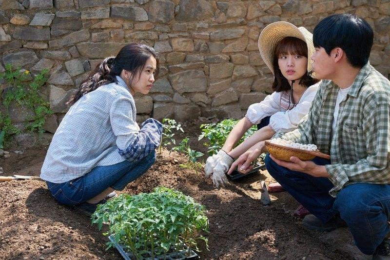 hancinema.net