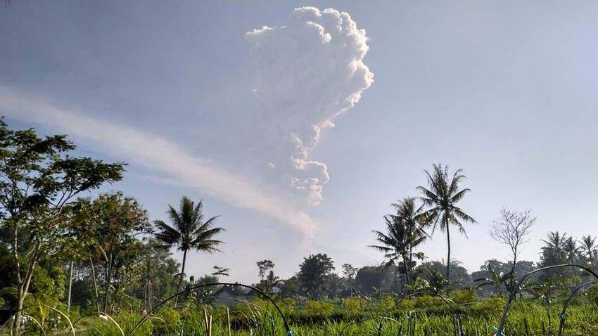 Dok. IDN Times/Istimewa