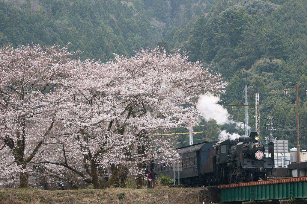 Flickr/peaceful-jp-scenery 