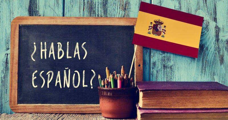 thespanishcat.com