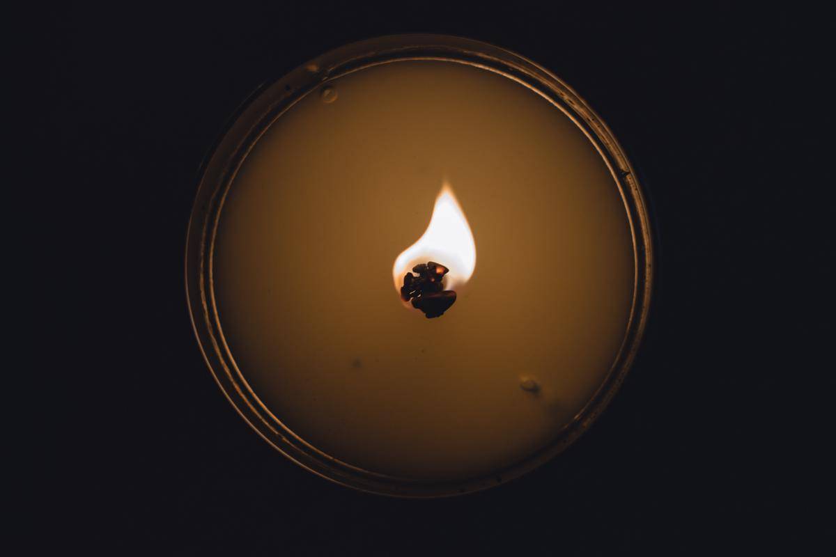 Unsplash/Alex Holyoake