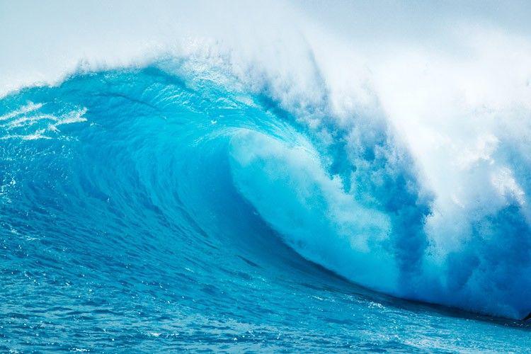 surfertoday.com