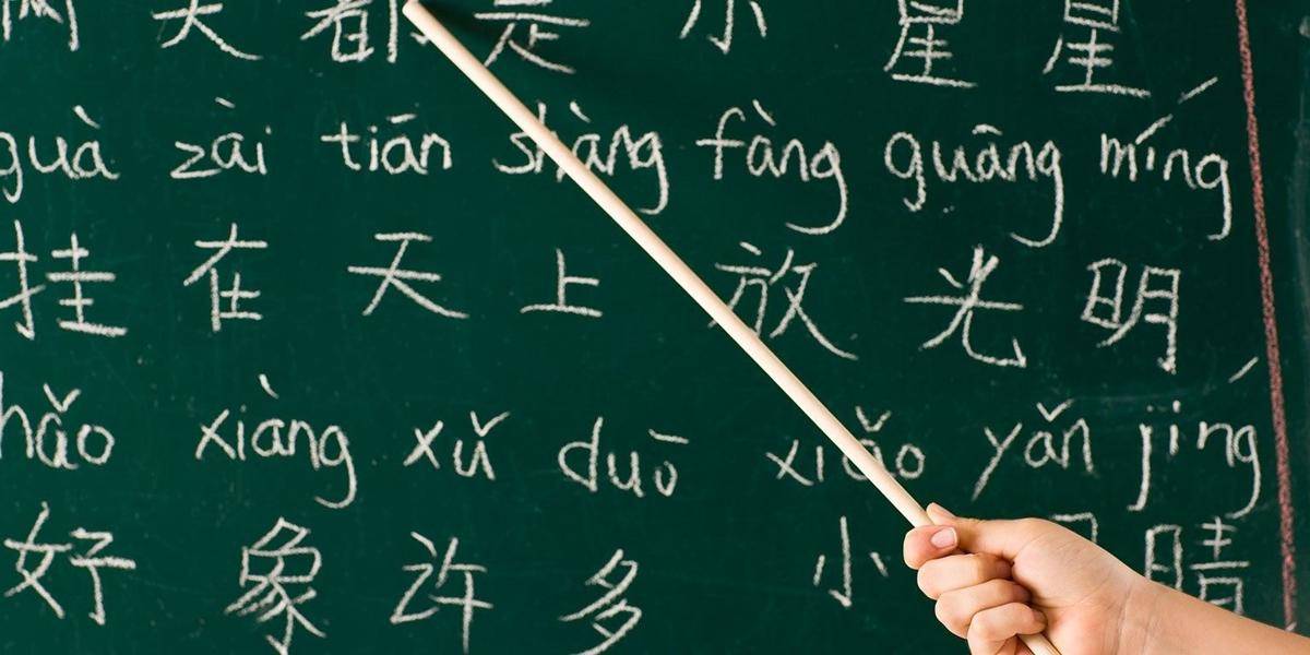 educationcentral.co.nz