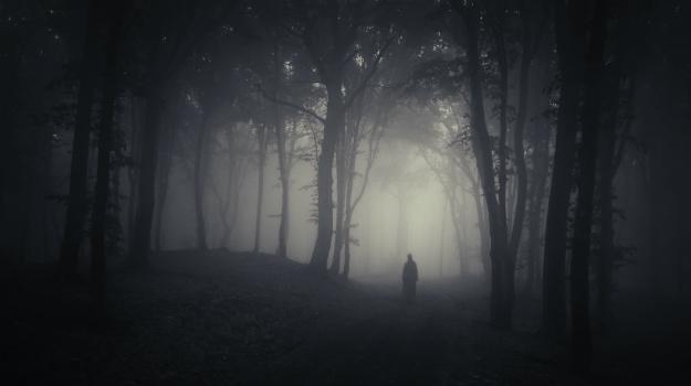 10 Hutan Ini Dianggap Paling Angker di Dunia, Berani Masuk?