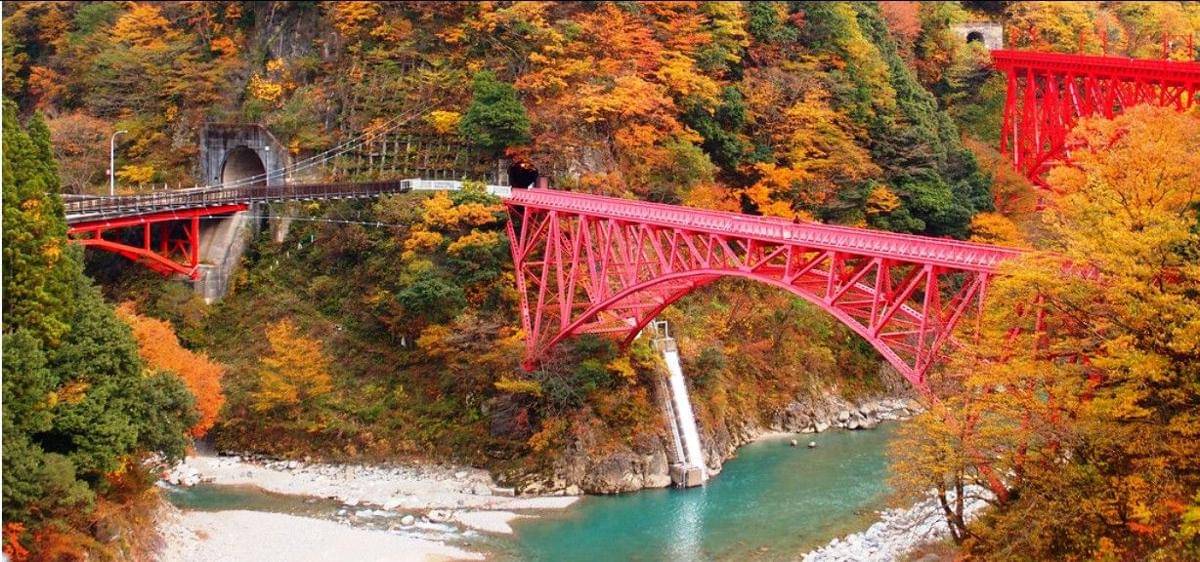 Flickr/Natsuki Harada