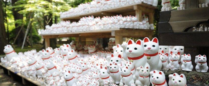 7 Fakta Unik 'Maneki Neko', Patung Kucing yang Dipercaya Bawa Untung