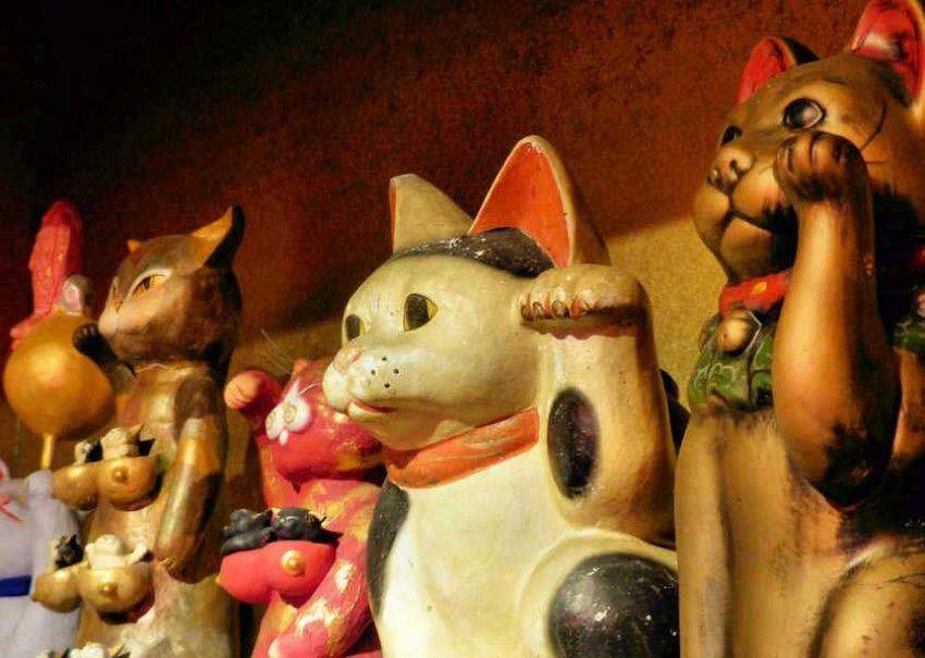 japanvisitor.com